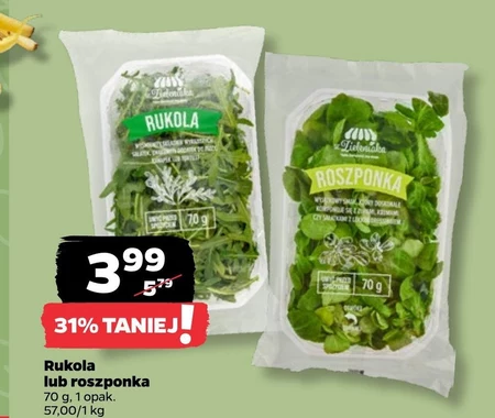Roszponka Rukola