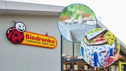 Zaskakująca oferta na lato w Biedronce! Akcesoria piknikowe w świetnej cenie!