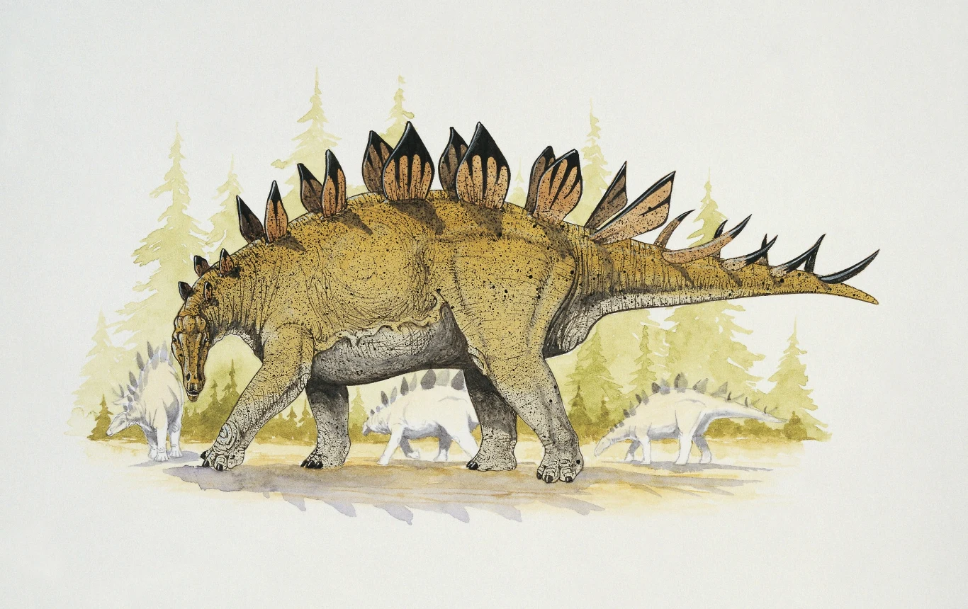 Dacentrurus miał mniejsze płyty na grzbiecie niż stegozaury z USA Stegozaur maszerujący po lesie prehistorycznym w otoczeniu kilku innych dinozaurów, wysokie drzewa iglaste w tle.