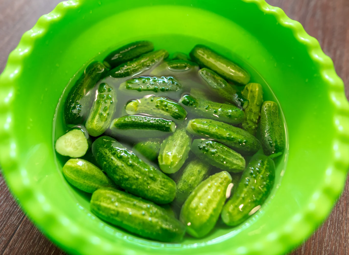 To bardzo ważne, aby obok ogórków sadzić odpowiednie rośliny Świeże ogórki konserwowe zanurzone w zalewie w okrągłej, zielonej misce ustawionej na drewnianym blacie.