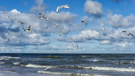 Słyszałeś o tym zjawisku?