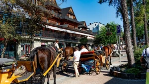 Zakopane może stracić burmistrza. Rusza zbiórka podpisów