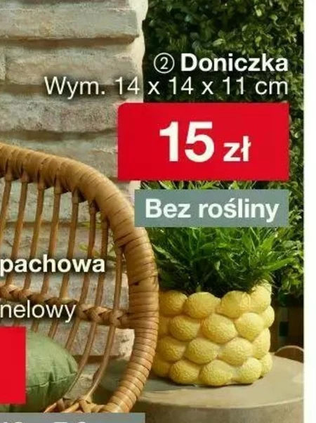 Вазон