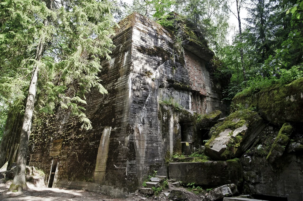 Masowa, betonowa ruina schronu ukryta w gęstym lesie, ściany porośnięte mchem, wokół wysokie drzewa i gęsta roślinność, otoczenie zacienione i naturalne, fragmenty zniszczonych bloków leżą wokół budowli.