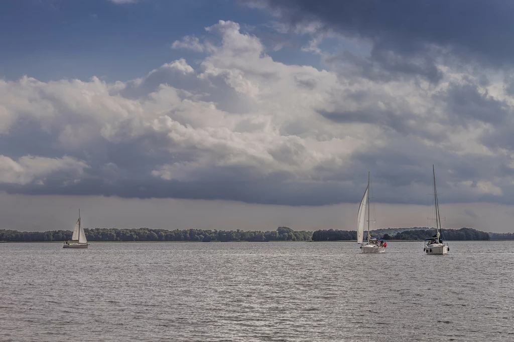 Żaglówki płynące po spokojnej wodzie pod pochmurnym niebem, na horyzoncie widoczny pas zieleni i lasów.