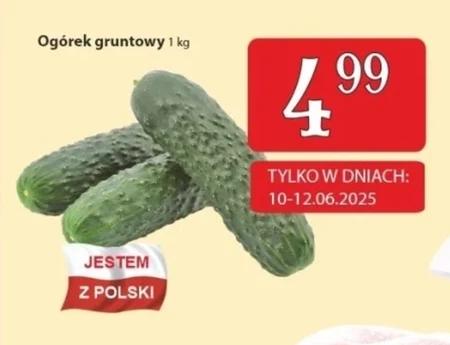 Огірок Polski