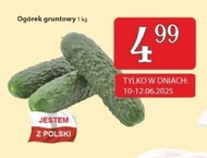 Огірок Polski