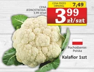 Цвітна капуста