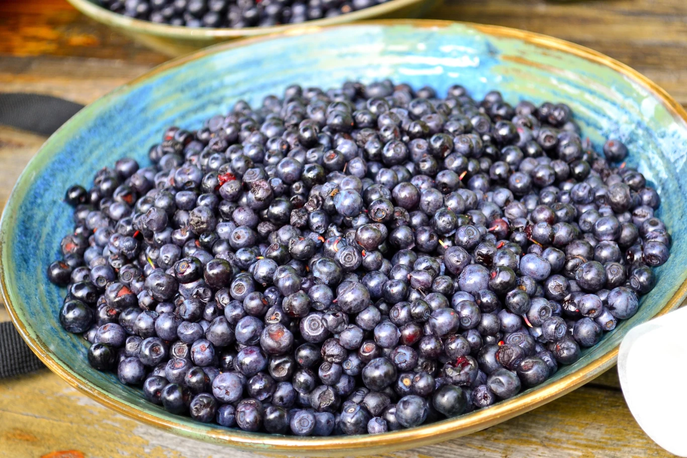 W leśnych jagodach znajduje się mnóstwo witamin i cennych antyoksydantów W leśnych jagodach znajduje się mnóstwo witamin i cennych antyoksydantów