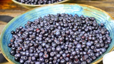 W leśnych jagodach znajduje się mnóstwo witamin i cennych antyoksydantów