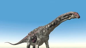 Podręczniki trzeba pisać na nowo? Dinozaury jadły inaczej, niż myśleliśmy