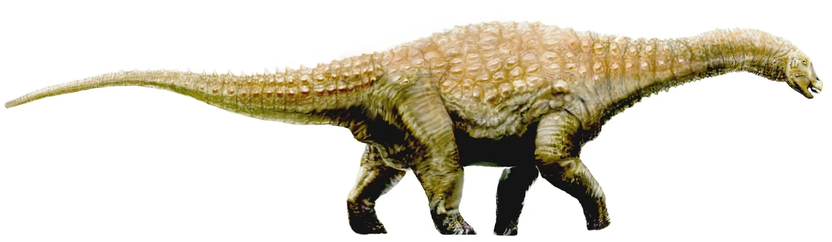 Diamantinazaur był dużym zauropodem żyjącym w kredzie w Australii