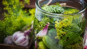 Co dodać zamiast chrzanu do ogórków kiszonych? Warto wypróbować te alternatywy.