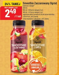 Smoothie Zaczarowany Ogród