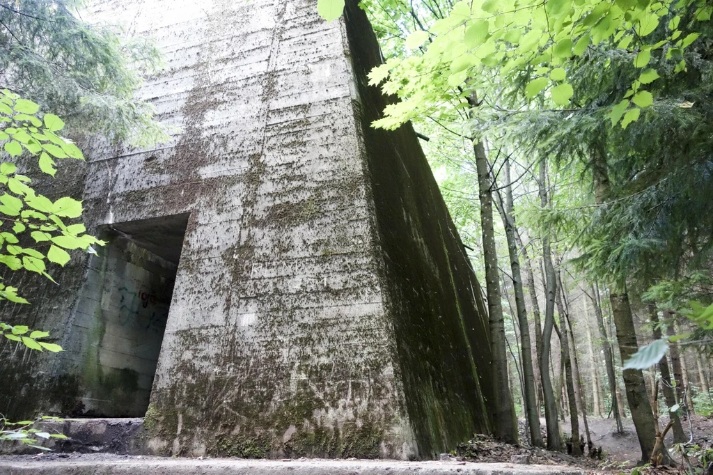 Masywny, betonowy bunkier, porośnięty mchem, stoi na skraju lasu. wejście do bunkra jest widoczne z boku. Światło dzienne pada na konstrukcję, podkreślając jej surowość i wiek. Drzewa otaczające bunkier nadają zdjęciu tajemniczości i nostalgii