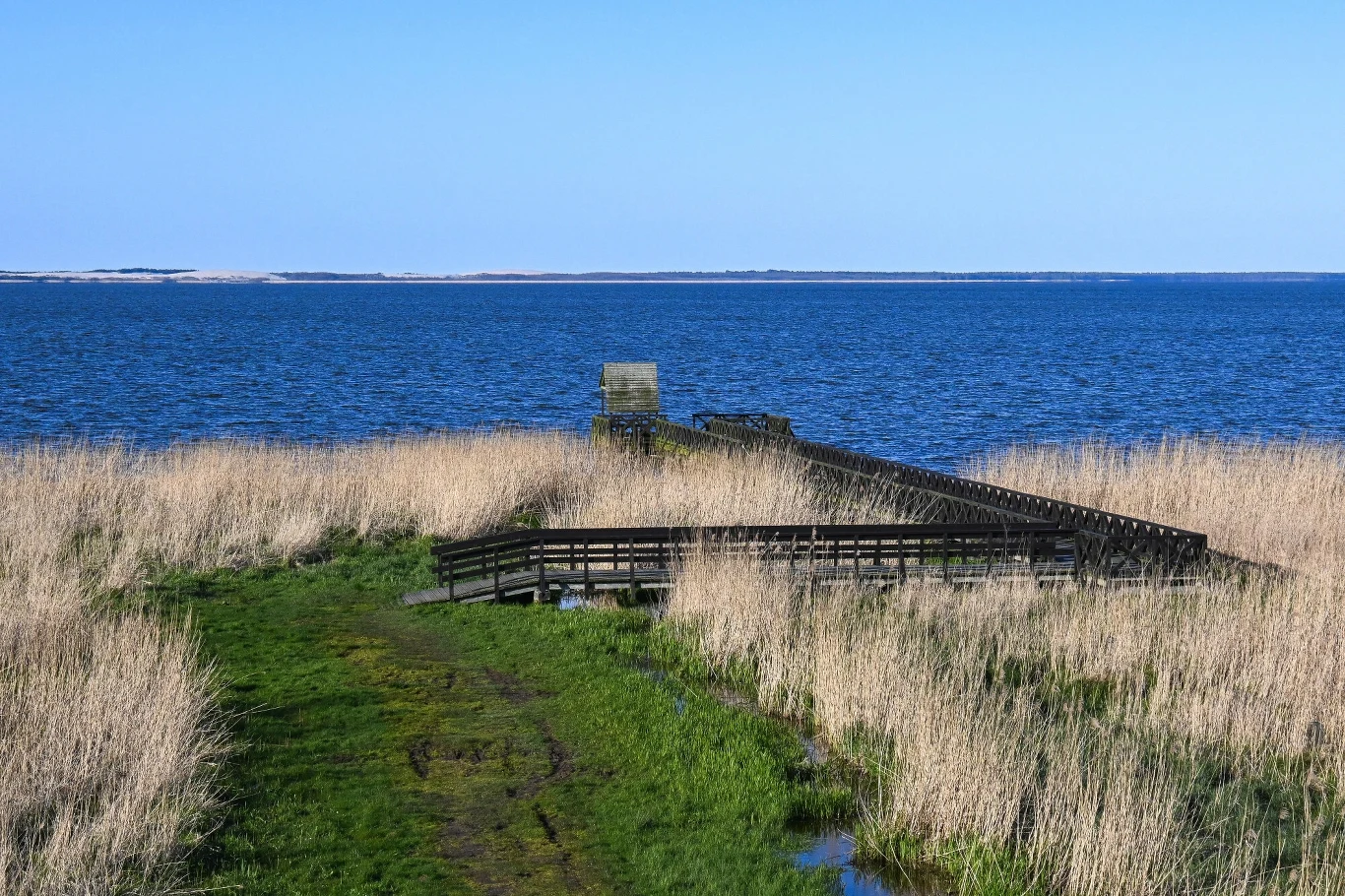 Drewniany pomost i platforma widokowa nad brzegiem jeziora lub zatoki. Gęste trzciny porastają brzeg. Woda jest spokojna, a w oddali widać przeciwległy brzeg. Niebo jest czyste i niebieskie, co sugeruje pogodny dzień. Ścieżka z ubitej ziemi prowadzi do...