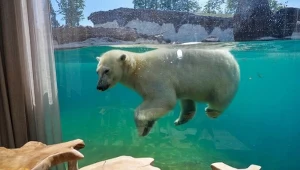 Hotele jak z bajki! Te miejsca warto odwiedzić chociaż raz w życiu