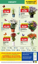 Benefity w Lidlu! 