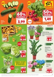 Ceny zaskakują jak nigdy - Kaufland