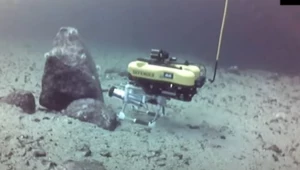 Nowa broń Royal Navy. Te roboty wykrywają miny i szpiegowskie urządzenia