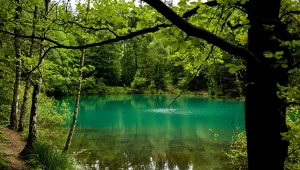 Kolorowe Jeziorka to cztery zbiorniki wodne w Rudawach Janowickich, znane z niezwykłych kolorów