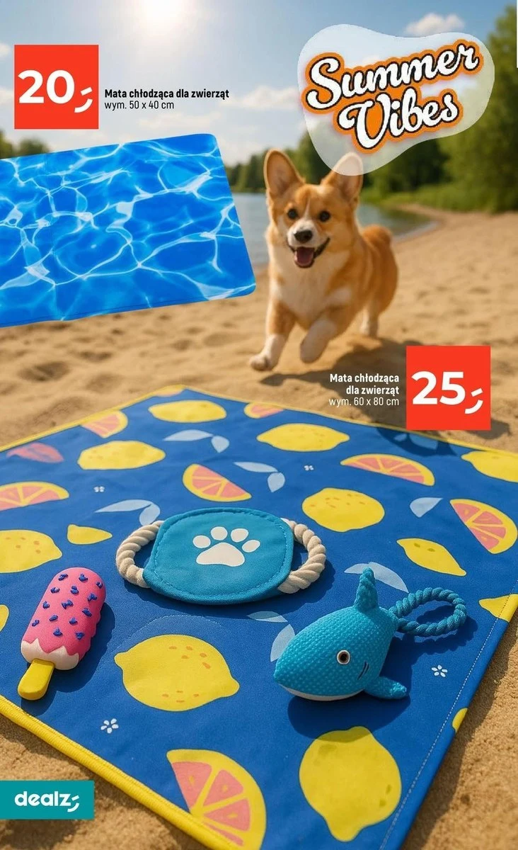 Akcesoria dla psów w Dealz! Letnia promocja, która rozpieści Twojego pupila