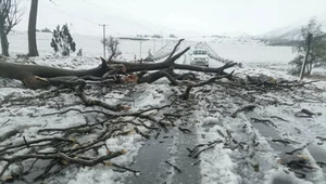 Zamieć śnieżna w Afryce. Autobus szkolny porwany przez prąd