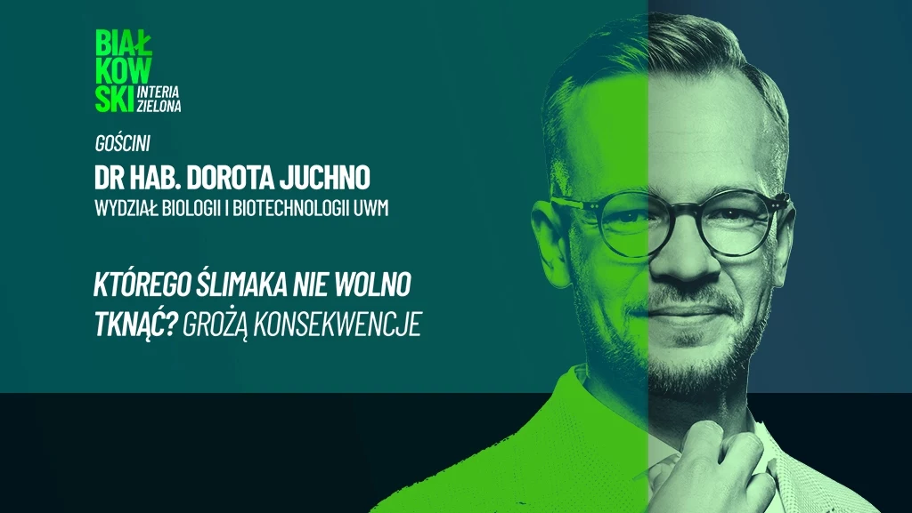 Winniczek jest w Polsce częściowo chroniony. Trzeba o tym pamietać Winniczek jest w Polsce częściowo chroniony. Trzeba o tym pamietać