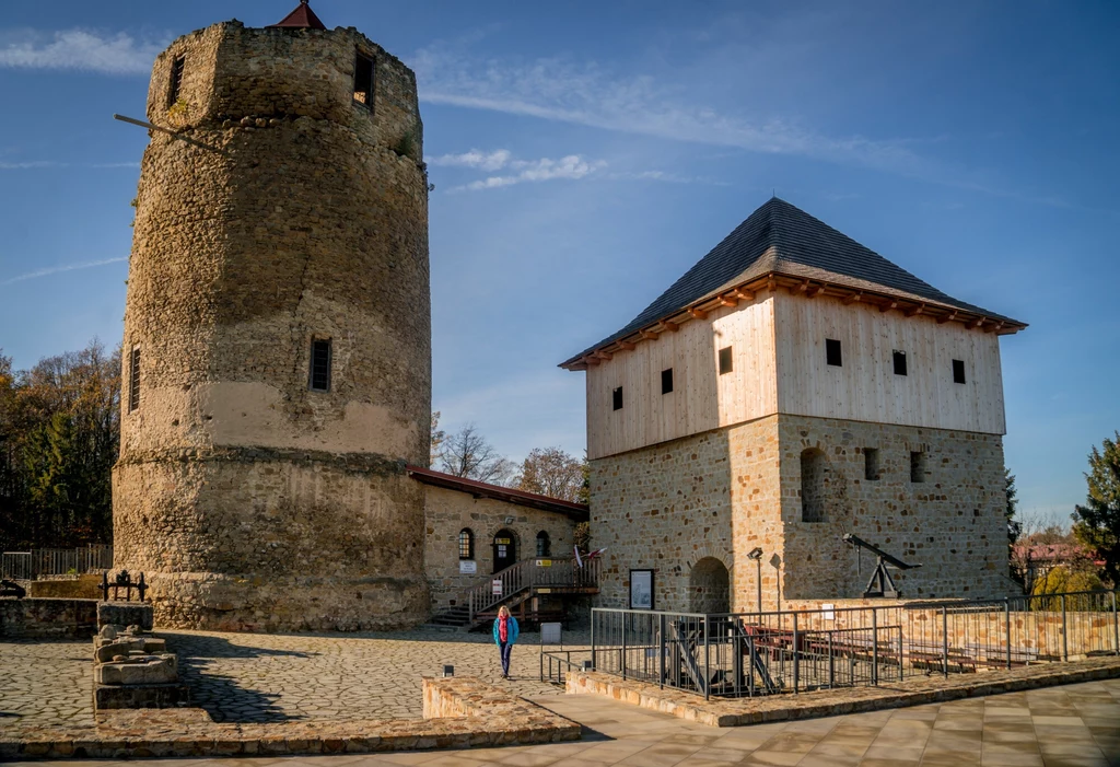 Ruiny zamku królewskiego w Czchowie Kamienna wieża oraz budynek z czterospadowym dachem, otoczone brukowanym dziedzińcem, fragment muru i armaty, w tle rzadkie drzewa, błękitne niebo z lekkimi chmurami.