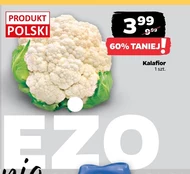 Kalafior Polski