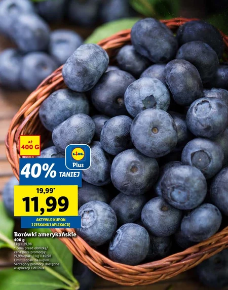 Borówki amerykańskie Plus-Plus
