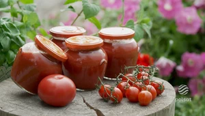 „Ewa gotuje”: Domowy przecier z pomidorów