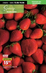 Sprawdź nowe promocje w Biedronce!