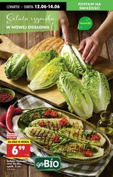 Sprawdź nowe promocje w Biedronce!