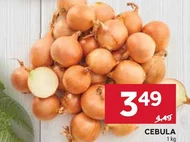Cebula