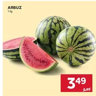 Arbuz