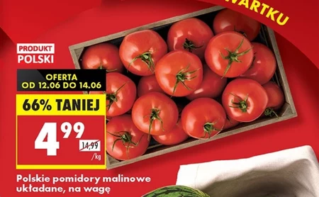 Помідори Polski