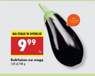 Bakłażan
