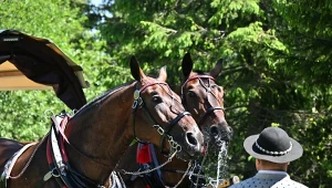 Wkrótce zmiany na trasie do Morskiego Oka. Górale nie kryją oburzenia. "Chcą nas oszukać"