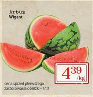 Arbuz Wigant