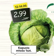 Kapusta młoda