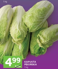 Kapusta pekińska