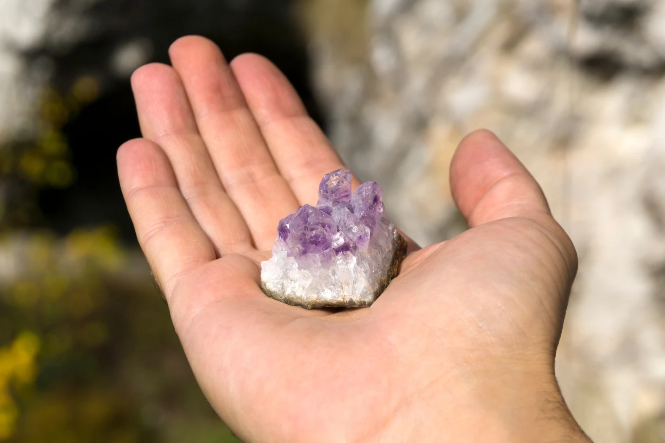 Dłoń trzymająca fragment minerału z fioletowymi kryształami na tle rozmytego, naturalnego krajobrazu.