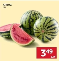 Arbuz
