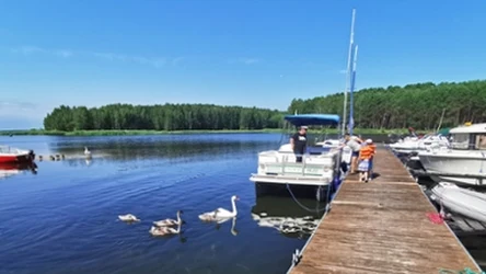 Zalew Sulejowski to dobry pomysł na weekendowy wypad z Łodzi lub Warszawy. Co oferuje?