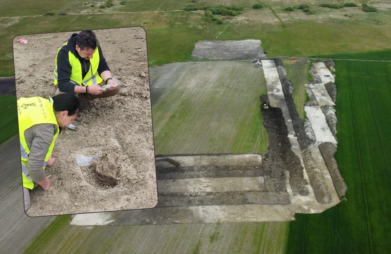 Generalna Dyrekcja Dróg Krajowych i Autostrad poinformowała o nowym odkryciu na budowie drogi S17. To ślady z plejstocenu. Archeolodzy w odblaskowych kamizelkach prowadzą wykopaliska w ziemi, na głównej części zdjęcia widać rozległe pole z widocznymi liniami wykopów oraz śladami prac ziemnych.