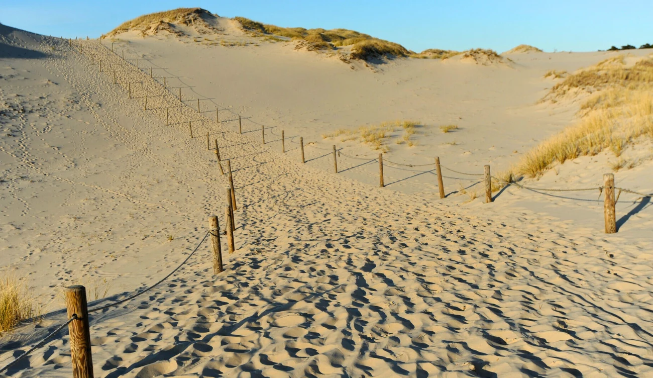 Słowiński Park Narodowy zaskakuje "śpiewającymi wydmami" 