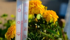 Takiej temperatury w tym roku jeszcze nie było. Prawdziwy skwar