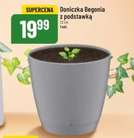 Doniczka