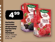 Herbata owocowa Herbapol